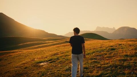 Walking through a golden meadow at sunset, graded with the Alpine Gold LUT