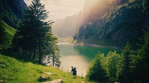 Turquoise mountain lake framed by pines, graded with the Alpine Gold LUT